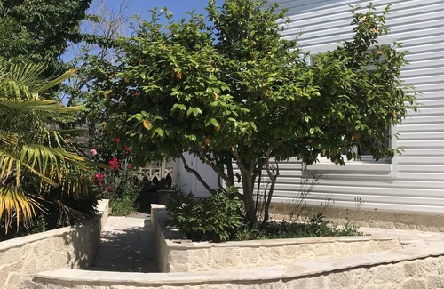 Saint-Marc-sur-Mer Casa | À 10 min à Pied de la Plage, Charmante Maison Avec Jardin Arboré