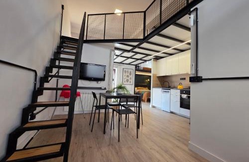 Distrito Sur Apartamento | Álava 46 - Industrial loft for 3 people - Wifi VUT-5321-AS