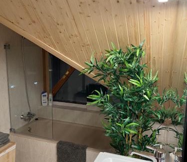 Canfranc-Estacion Apartamento | Ático Dúplex reformado con vistas a la montaña