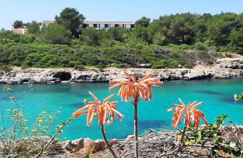 Son Carrio Casa | Ático Playa Santandria con Piscina y Wifi
