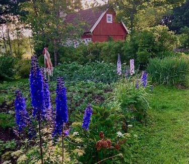 Ljungbyhed Apartamento | Ängaröds Gård