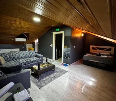 Sakarya Province Apartamento | Çınar Suite