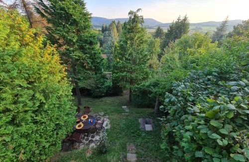Nograd Casa | Égig Érő Fa Vendégház