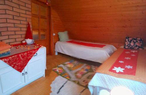 Tartu Casa | Öökulli öömaja