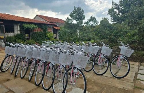 Long Ho Casa | Út Bình Homestay