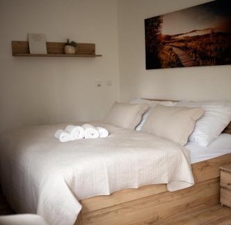 Cerna V Posumavi Apartamento | Útulné studio na břehu Lipna