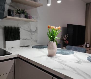 Rajecke Teplice Apartamento | Útulný Apartmán Katka Rajecké Teplice