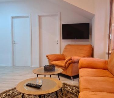 Canton 10 Apartamento | Čičak