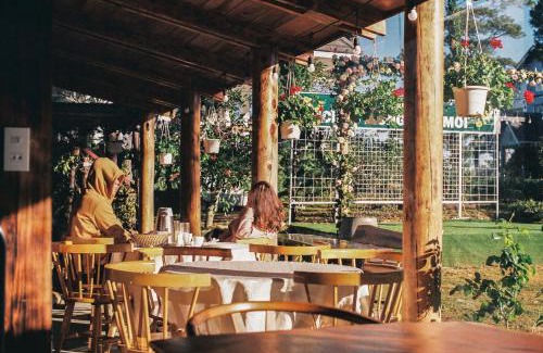 Da Lat Complejo | Đà Lạt Kim Ngân Hill Eco Resort