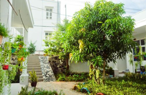 Ho Tram Casa | Đồi Dừa Homestay