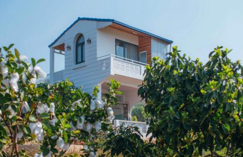 Don Duong Casa | Điểm cộng đồng du lịch nông nghiệp nông thôn Avocado Farm