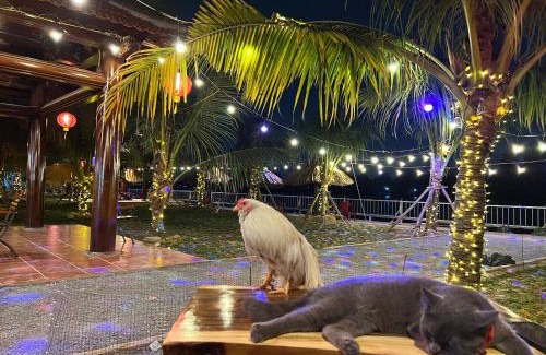 Tan Uyen Town Otro | Điểm Hẹn restaurant, cắm trai, sở thú mini farm, câu cá giải trí