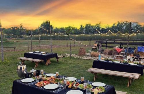 Tan Uyen Town Otro | Điểm Hẹn restaurant, cắm trai, sở thú mini farm, câu cá giải trí