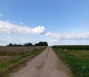 Hajnowka Otro | ŁĄKA NA WYŁĄCZNOŚĆ NA PODLASKIEJ WSI HAJNÓWKA BIAŁOWIEŻA namiot, biwak, kemping