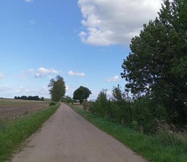 Hajnowka Otro | ŁĄKA NA WYŁĄCZNOŚĆ NA PODLASKIEJ WSI HAJNÓWKA BIAŁOWIEŻA namiot, biwak, kemping