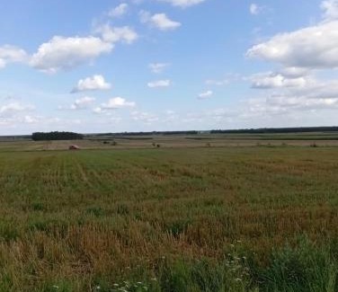 Hajnowka Otro | ŁĄKA NA WYŁĄCZNOŚĆ NA PODLASKIEJ WSI HAJNÓWKA BIAŁOWIEŻA namiot, biwak, kemping