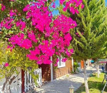 Cirali Villa | ŞAH apart