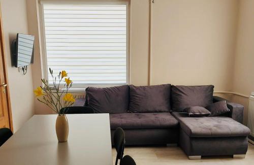 Panevezys county Apartamento | Širvėnos namai - penkiavietis numeris