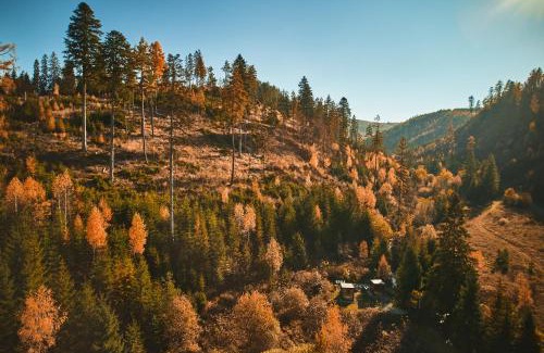 Spisske Bystre Chalet De Esquí | Škandinávske domčeky-lesná sauna a ubytovanie