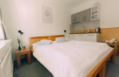 Tatranska Strba Apartamento | Štúdio Srnček - Tatranská Štrba - wellness, bazén