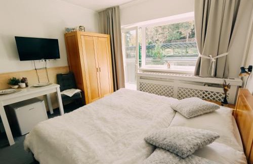 Tatranska Strba Apartamento | Štúdio Srnček - Tatranská Štrba - wellness, bazén