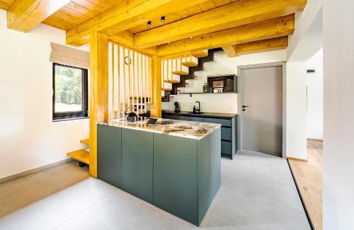 Horni Plana Villa | Šumavské Hájenky - Lipno