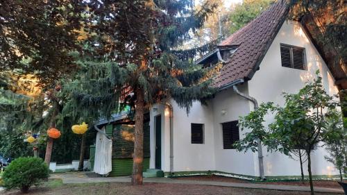 Banatski Karlovac Casa | Šumska kuća Atina - Devojački Bunar