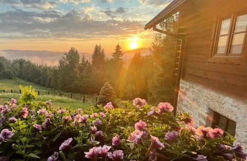 Wisla Apartamento | ŻŁOBINA Apartament