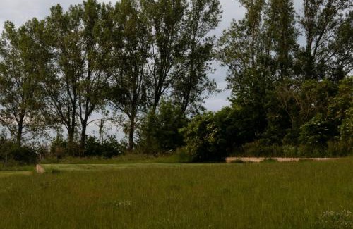 Zarnowiec Casa | ŻAR - Gorzelnia w Żarnowcu