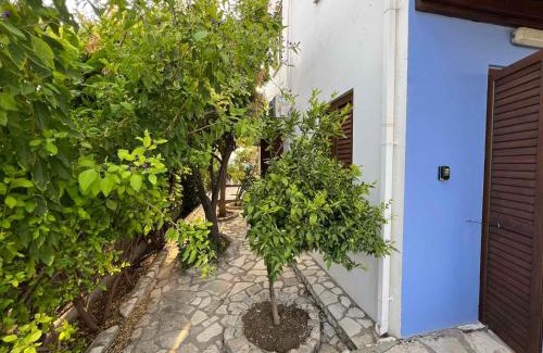 Pano Lefkara Casa | Αετοφωλιά-AETOFOLIA