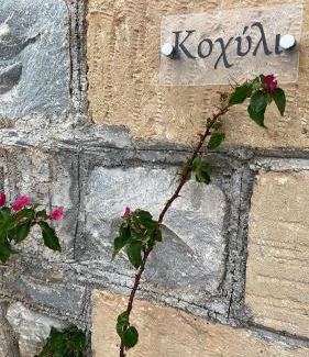 Riglia Apartamento | Κοχύλι