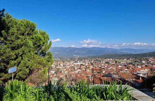 Amfikleia-Elateia Apartamento | Πανόραμα