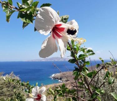 Agios Ioannis Apartamento | Φώς