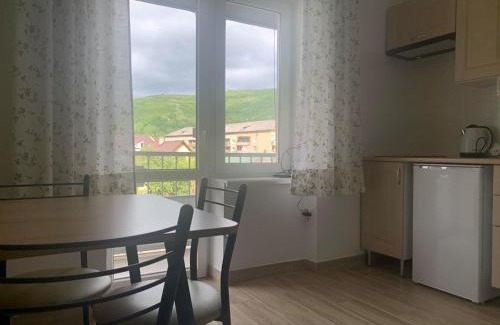 Rakhiv Apartamento | Апартаменти Monte