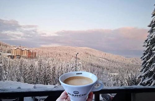 Pamporovo Apartamento | Апартамент А101 хотел Снежанка