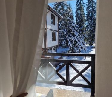 Pamporovo Apartamento | Апартамент Лейк Вю, вила Флора, комплекс Маунтин лейк