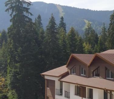 Borovets Apartamento | Апартамент С-59 в Апарт-хотел Боровец Гардънс