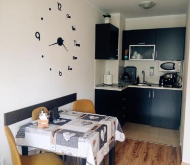 Borovets Apartamento | Апартамент С-59 в Апарт-хотел Боровец Гардънс