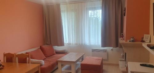 Pamporovo Apartamento | Апартамент Pamporovo Palace
