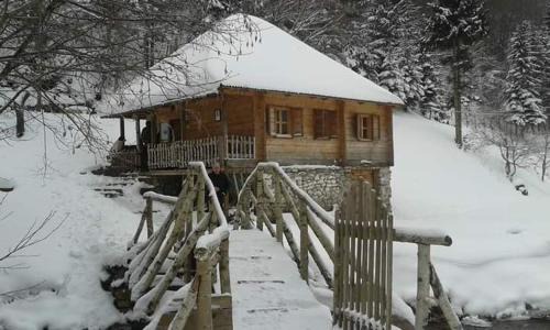Montenegro Apartamento | Апартман Снежана