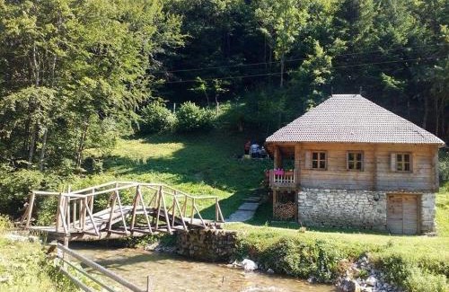 Montenegro Apartamento | Апартман Снежана