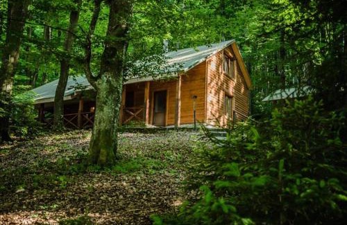 Serednye Hotel | База відпочинку ШИПОВЕЦЬ