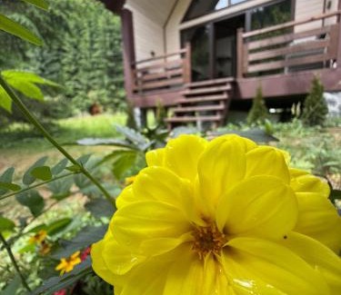 Soymy Chalet De Esquí | Барнхаус Карпатський подих