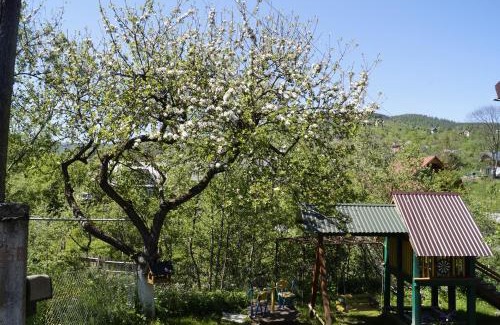 Yaremche Casa | Будиночок в Карпатах