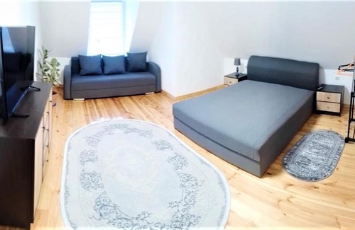 Berehove Apartamento | Великі Апартаменти недалеко від Термальних Басейнів
