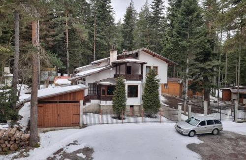 Tsigov Chark Casa | Вила Пенчеви, кк. Цигов чарк