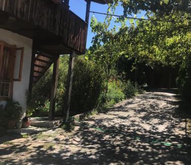 Elena Casa | Вила Чевермето