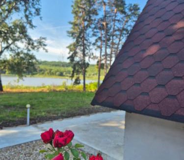 Lyaskovets Casa | Вили Янкови