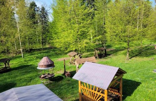 Dilyatyn Hotel | Ворота Карпат