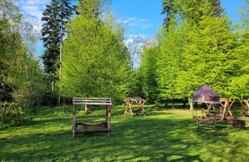 Dilyatyn Hotel | Ворота Карпат